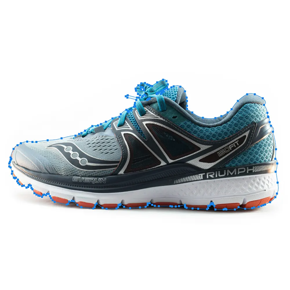 Clipping Path Service Provider Before Image 9