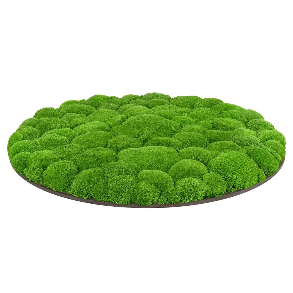 Product Photo Editing Services Image After 3
