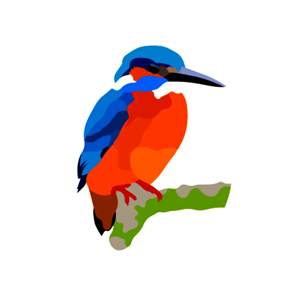 Vector Conversion Service Image After 3